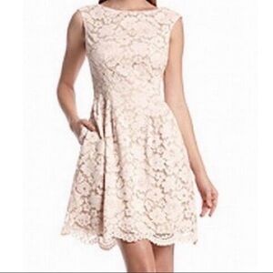 Vince Camuto Lace Overlay Dress